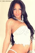 Foto Adrianna Annunci Transescort Avellino 3397965355 - 39