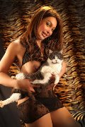 Foto Alessa Venezuelana Annunci Girl Verbania 3533541305 - 36