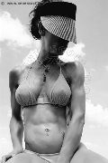 Foto Alessandra Mendez Annunci Transescort Pontedera 3319414074 - 1