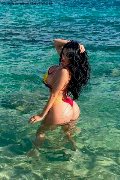 Foto Alessandre Xxii Annunci Trans Gallarate 3317852006 - 39