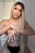 Foto Angel Bunny Annunci Transescort Milano 3474642611 - 1