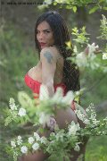 Foto Angell Annunci Transescort Cinisello Balsamo 3339242519 - 1