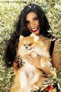 Foto Ariadna Annunci Trans Bologna 3887519396 - 62