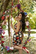 Foto Ariadna Annunci Transescort Bologna 3887519396 - 74
