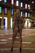 Foto Ath�na Annunci Transescort Milano 3270729765 - 16