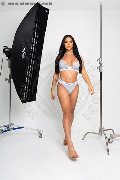 Foto Bella Angel Annunci Transescort Recife 005581988073834 - 19