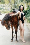 Foto Biancaladyboy Annunci Transescort Pordenone 3932233064 - 6