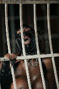 Foto Campbell Annunci Transescort Padova 3933357541 - 148