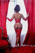 Foto Campbell Annunci Transescort Padova 3933357541 - 35
