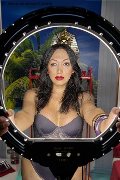 Foto Desirre Annunci Transescort Reggio Calabria 3922832689 - 6