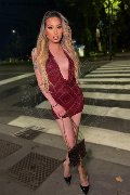 Foto Duda Castro Annunci Transescort Milano 3293898373 - 10