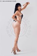 Foto Estefani Annunci Trans San Bonifacio 3463594192 - 4