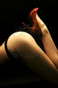 Foto Fenix Annunci Mistress Alessandria 3388830800 - 15