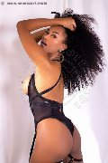 Foto Gabriella Molinaro Annunci Trans 3484191106 - 9