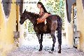 Foto Gabriellaxxl Brasile Annunci Trans Milano 3292213799 - 69