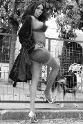 Foto La Black Star Jussara Carioca Annunci Trans Karlsruhe 004915205446913 - 5
