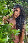 Foto Mandy Asiatica Annunci Trans Parma 3270531479 - 5