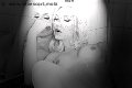 Foto Mary Ts Annunci Trans Francoforte 00491751281117 - 7