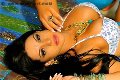Foto Patricia New Annunci Transescort R�sselsheim Am Main 004915210980425 - 3