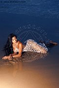 Foto Paula Bituschini Annunci Transescort Brescia 3898857998 - 28