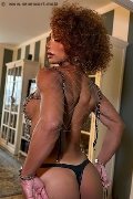 Foto Riccia Annunci Transescort Torino 3663044467 - 9