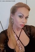 Milano Trans Escort Brandy 388 38 60 479 foto selfie 15