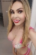 Pescara Trans Chrystal Medeiros Pornostar 389 83 13 619 foto selfie 10