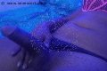 Legnano Trans Jennifer Lopez 329 28 14 384 foto selfie 13