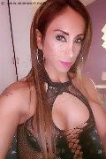 Parma Trans Escort Leyla 338 33 98 084 foto selfie 36