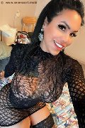 Amsterdam Trans Escort Lissandra  0031645710434 foto selfie 10