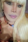 Milano Trans Nicole Vip Venturiny 353 35 38 868 foto selfie 439