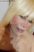 Milano Trans Nicole Vip Venturiny 353 35 38 868 foto selfie 506