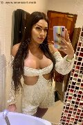 Milano Trans Escort Paulinha Ferraz 320 88 26 069 foto selfie 18