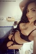 Vercelli Trans Rayla Rios 329 38 77 403 foto selfie 17