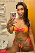 Treviso Trans Escort Thayys Castro 329 72 89 046 foto selfie 2