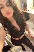 Bologna Trav Escort Victoria New 339 43 37 857 foto selfie 34