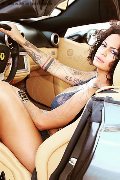 Foto Serena Annunci Transescort Bologna 3271309016 - 18
