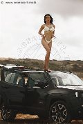 Foto Vanessa Hilton Annunci Trans Modena 3245846577 - 110