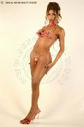 Foto Vick Campana Annunci Transescort Roma 3486445725 - 4