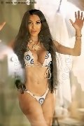 Foto Wanessa Armani Annunci Trans Frosinone 3518069231 - 1