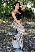 Foto Adriana Paulett Annunci Transescort 3891399263 - 311