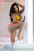 Foto Celeste New Annunci Trans Civitanova Marche 3511837392 - 23