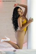 Foto Celeste New Annunci Trans Civitanova Marche 3511837392 - 22