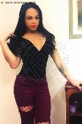 Foto Dior Annunci Transescort Genova 3472825420 - 591