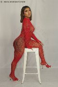 Foto Gabyzinha Annunci Transescort Firenze 3520298736 - 16
