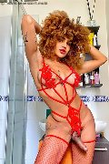 Foto Hot Stella Annunci Transescort Milano 3295563971 - 5