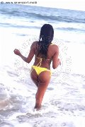 Foto Naomy Xl Annunci Trans Bologna 3290167932 - 135