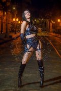 Foto Nick Miller Annunci Trans Verona 3382945956 - 120