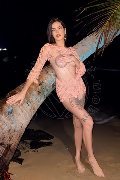 Foto Nick Miller Annunci Trans Verona 3382945956 - 56