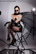 Foto Nick Miller Annunci Trans Verona 3382945956 - 33